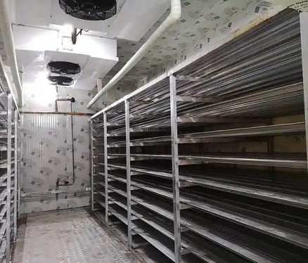 Industrial Blast Freezer