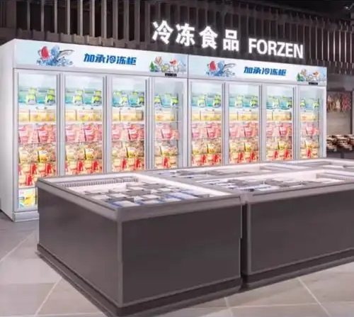 Frozen Food Display Freezer