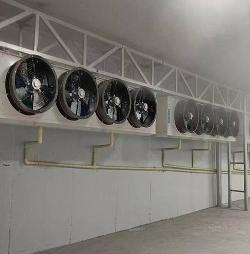 Seafood Cold Room