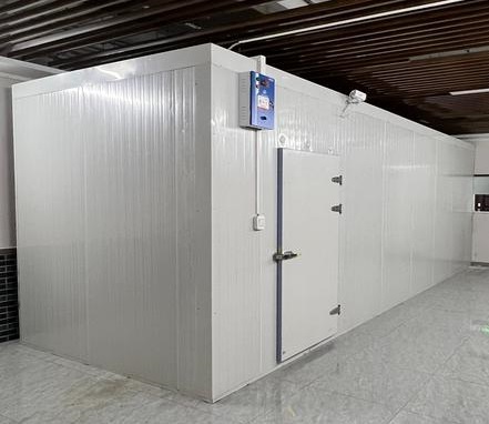 Roll-In Blast Freezer